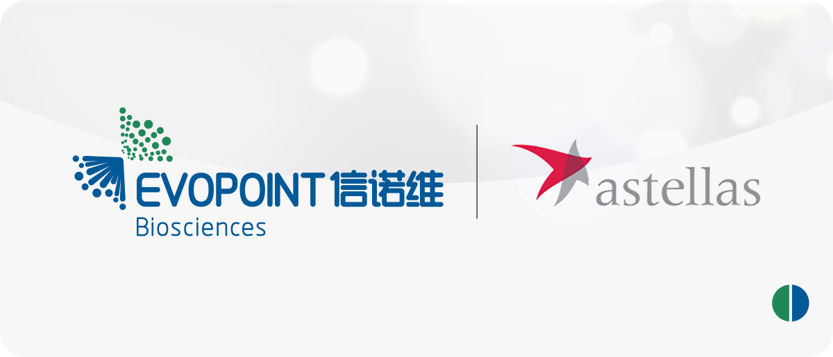 1748593720165651.png 222.png